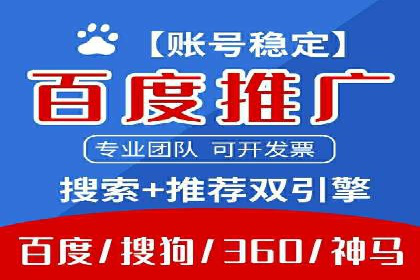 SEM广告投放策略：成功案例解析
